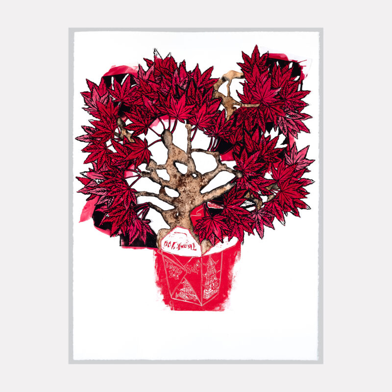 Thank You, Enjoy, Japanese Maple Leaf_main