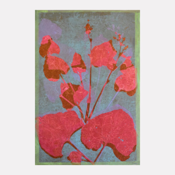 Asian Magic Seeds 1/2 e.v.